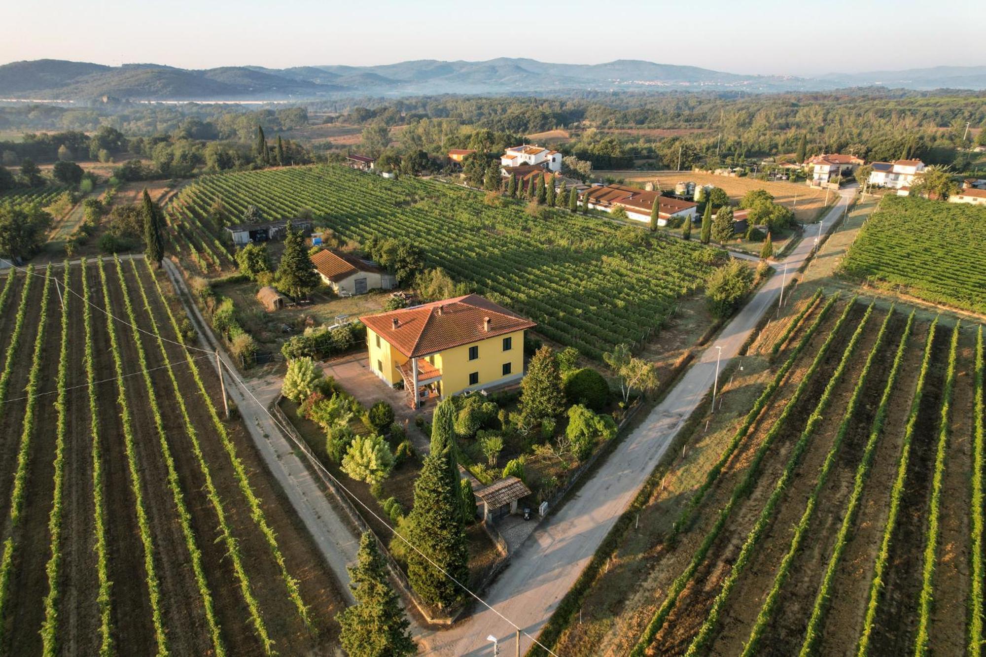 Cappannelle Country House Tuscany Castiglion Fibocchi Exteriér fotografie