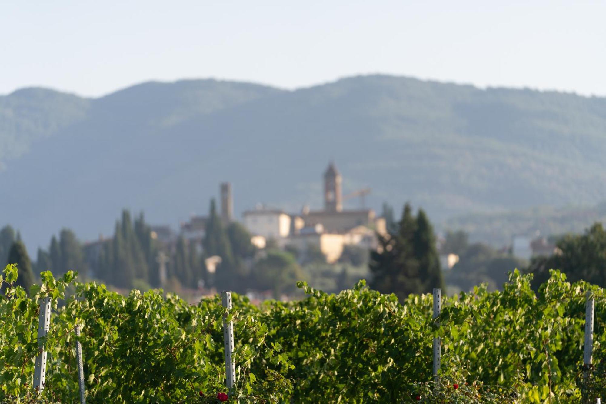 Cappannelle Country House Tuscany Castiglion Fibocchi Exteriér fotografie